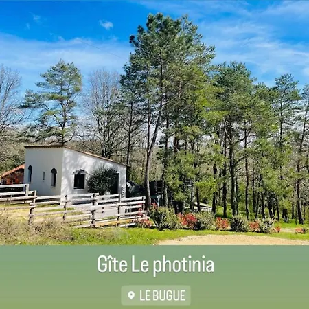 Holiday home Le Photinia Le Bugue